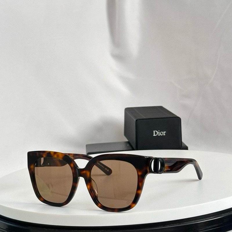 DIOR Sunglasses 501